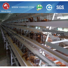 Hot Galvanized Automatic Chicken Cage for Growing Broilers and Layers (A3L90)